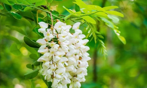 粘和黏一样吗-黏和粘的区别网-分享粘和粘的区别，黏和粘的区别是什么知识库